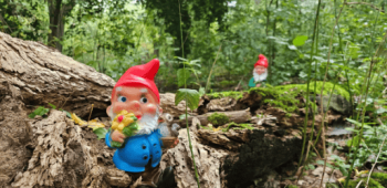 Feestelijke opening Biesbosch Kabouterbos